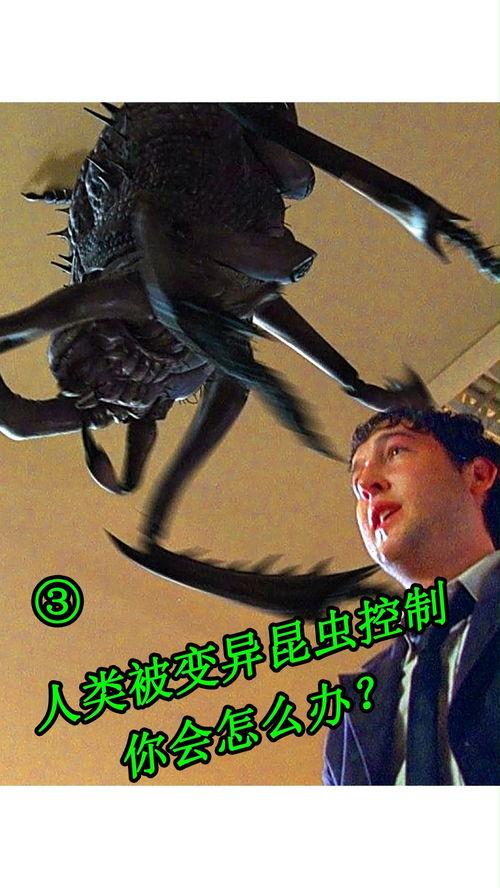 害虫横行 在线观看,在线惊悚直播,揭秘虫灾肆虐的恐怖世界 第3张 害虫横行 在线观看,在线惊悚直播,揭秘虫灾肆虐的恐怖世界 第3张